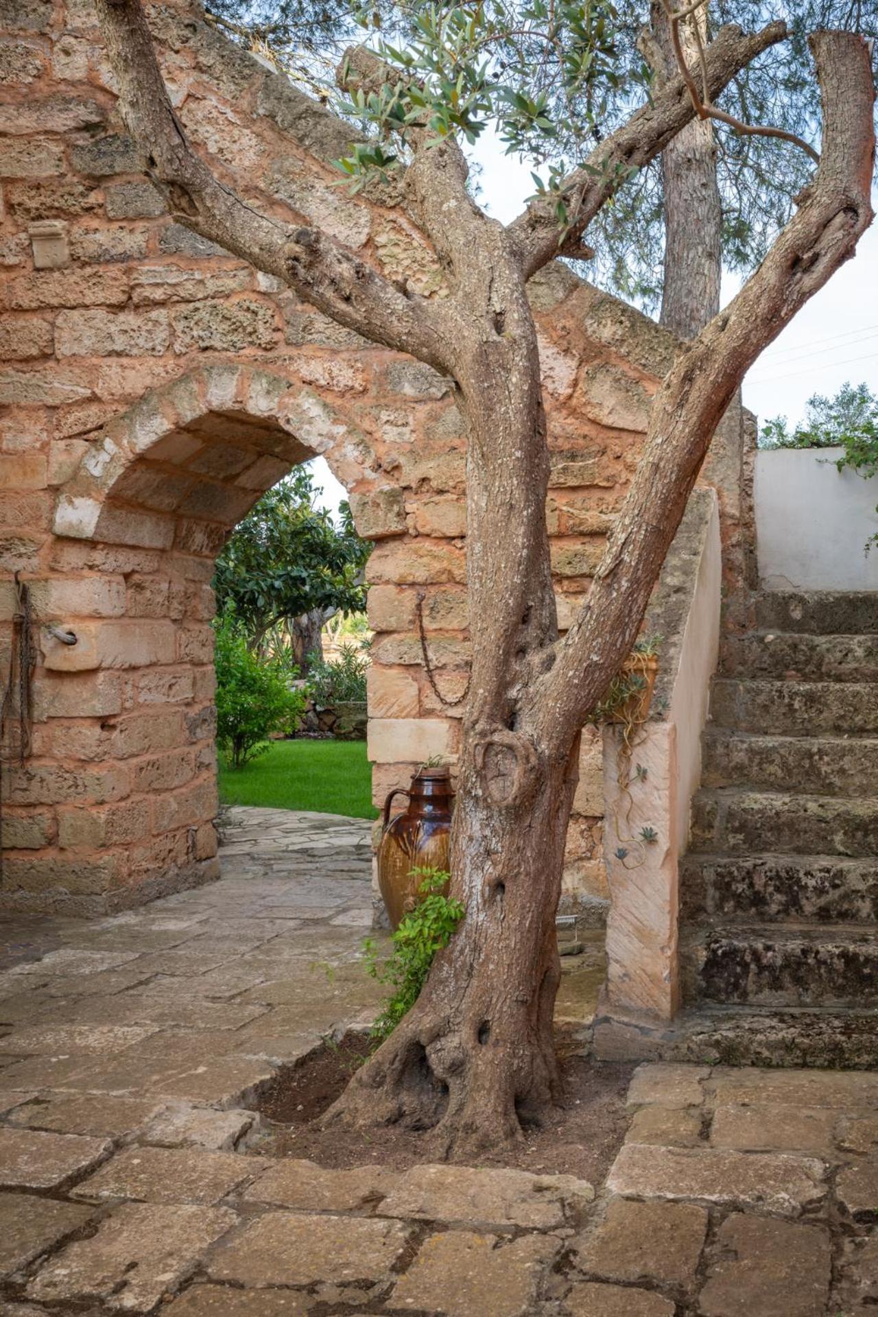 Il Villaggetto Neviano المظهر الخارجي الصورة